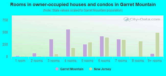 Rooms in owner-occupied houses and condos in Garret Mountain