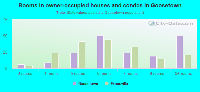 Rooms in owner-occupied houses and condos in Goosetown