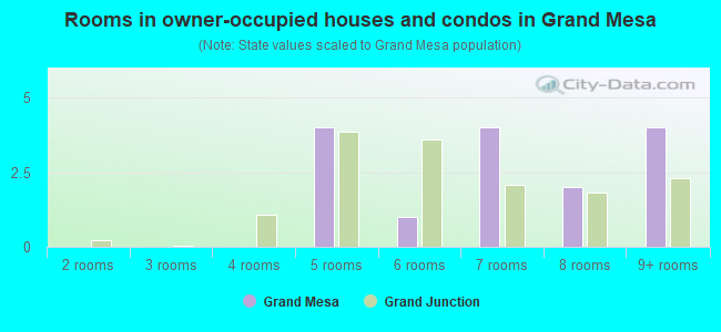 Rooms in owner-occupied houses and condos in Grand Mesa