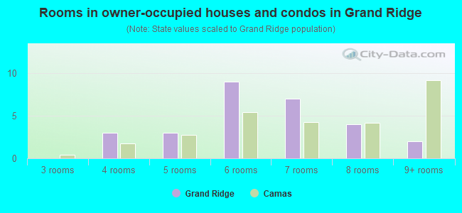 Rooms in owner-occupied houses and condos in Grand Ridge