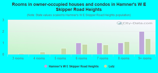 Rooms in owner-occupied houses and condos in Hamner's W E Skipper Road Heights