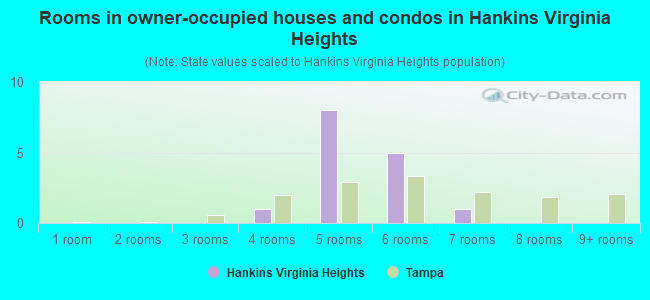 Rooms in owner-occupied houses and condos in Hankins Virginia Heights