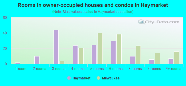 Rooms in owner-occupied houses and condos in Haymarket