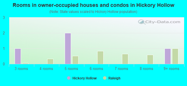 Rooms in owner-occupied houses and condos in Hickory Hollow