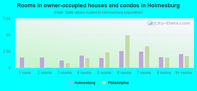 Rooms in owner-occupied houses and condos in Holmesburg