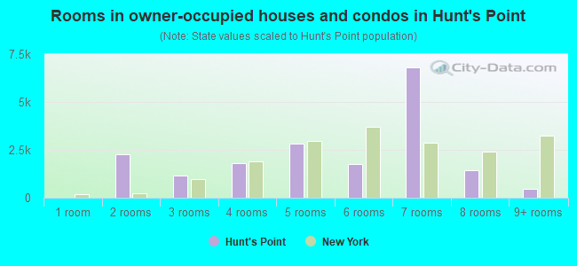 Rooms in owner-occupied houses and condos in Hunt's Point