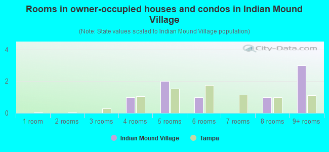 Rooms in owner-occupied houses and condos in Indian Mound Village