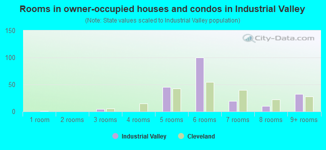 Rooms in owner-occupied houses and condos in Industrial Valley