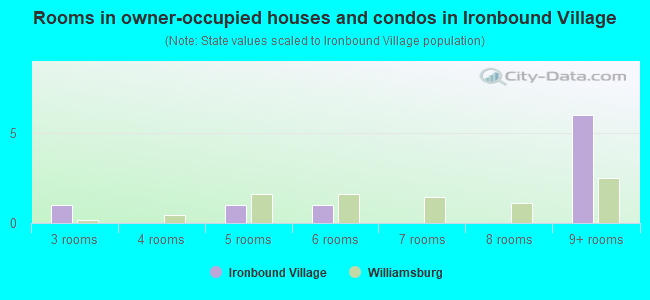 Rooms in owner-occupied houses and condos in Ironbound Village