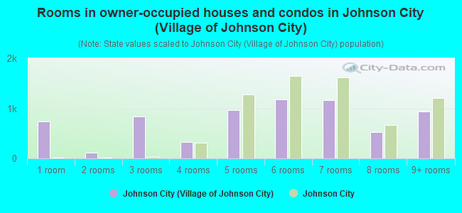 Rooms in owner-occupied houses and condos in Johnson City (Village of Johnson City)