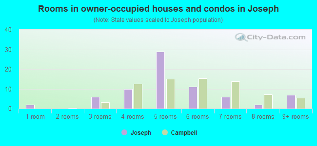 Rooms in owner-occupied houses and condos in Joseph