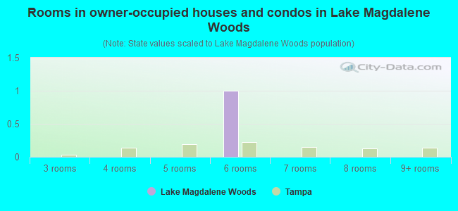 Rooms in owner-occupied houses and condos in Lake Magdalene Woods