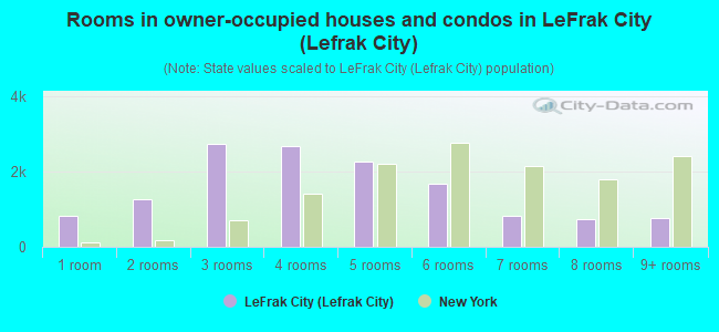 Rooms in owner-occupied houses and condos in LeFrak City (Lefrak City)