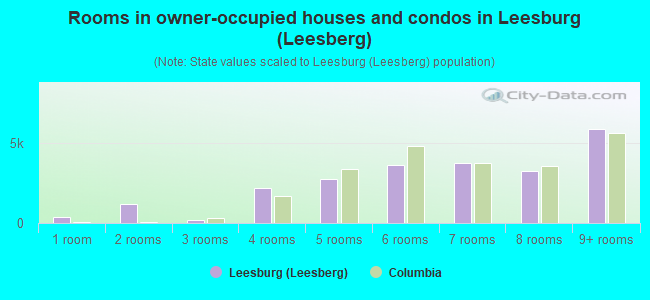 Rooms in owner-occupied houses and condos in Leesburg (Leesberg)