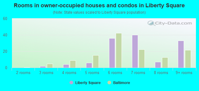 Rooms in owner-occupied houses and condos in Liberty Square