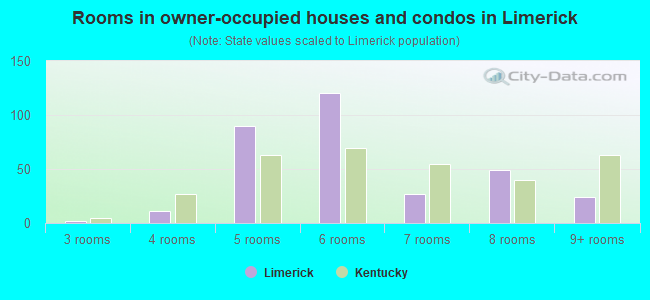 Rooms in owner-occupied houses and condos in Limerick