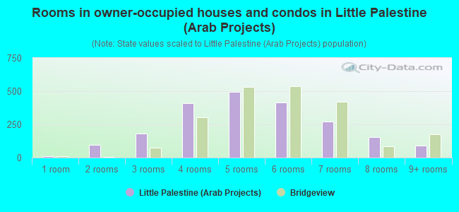 Rooms in owner-occupied houses and condos in Little Palestine (Arab Projects)