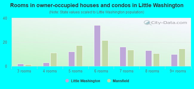 Rooms in owner-occupied houses and condos in Little Washington