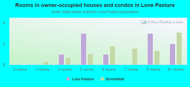 Rooms in owner-occupied houses and condos in Lone Pasture