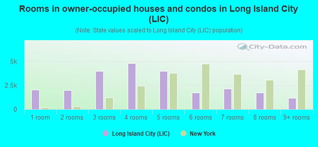 Rooms in owner-occupied houses and condos in Long Island City (LIC)