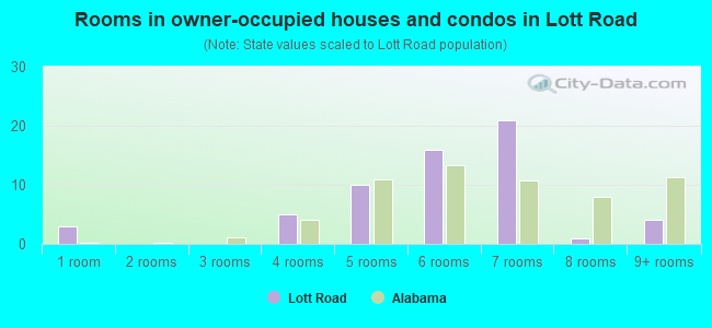 Rooms in owner-occupied houses and condos in Lott Road