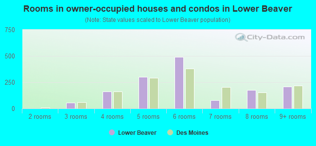 Rooms in owner-occupied houses and condos in Lower Beaver