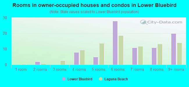 Rooms in owner-occupied houses and condos in Lower Bluebird