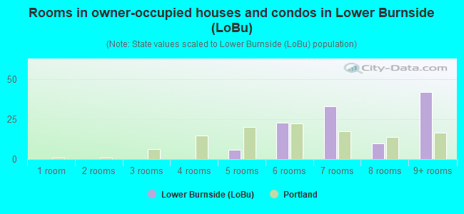 Rooms in owner-occupied houses and condos in Lower Burnside (LoBu)