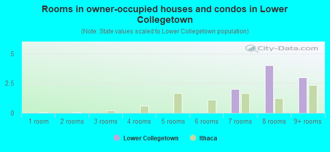 Rooms in owner-occupied houses and condos in Lower Collegetown