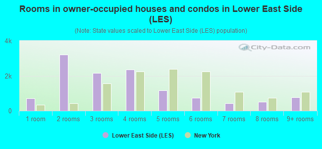 Rooms in owner-occupied houses and condos in Lower East Side (LES)