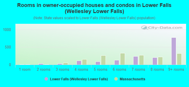 Rooms in owner-occupied houses and condos in Lower Falls (Wellesley Lower Falls)