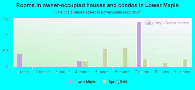 Rooms in owner-occupied houses and condos in Lower Maple