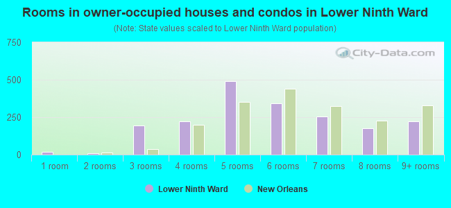Rooms in owner-occupied houses and condos in Lower Ninth Ward