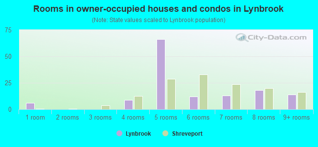Rooms in owner-occupied houses and condos in Lynbrook