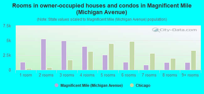 Rooms in owner-occupied houses and condos in Magnificent Mile (Michigan Avenue)