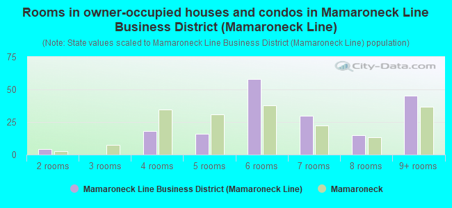 Rooms in owner-occupied houses and condos in Mamaroneck Line Business District (Mamaroneck Line)