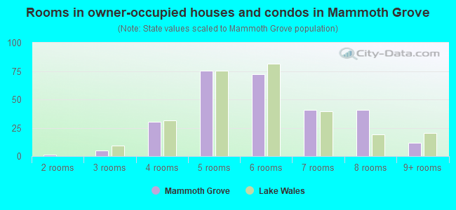 Rooms in owner-occupied houses and condos in Mammoth Grove