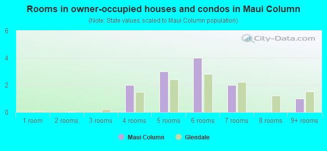 Rooms in owner-occupied houses and condos in Maui Column