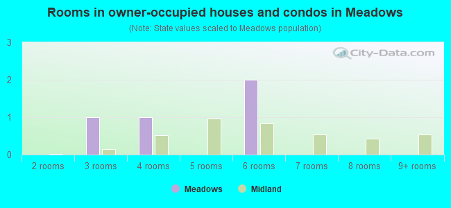 Rooms in owner-occupied houses and condos in Meadows