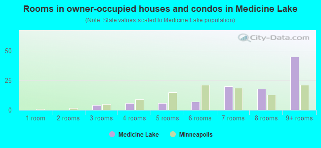 Rooms in owner-occupied houses and condos in Medicine Lake