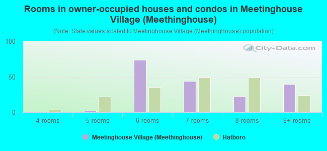 Rooms in owner-occupied houses and condos in Meetinghouse Village (Meethinghouse)
