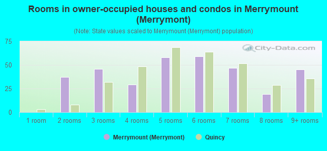 Rooms in owner-occupied houses and condos in Merrymount (Merrymont)