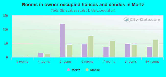 Rooms in owner-occupied houses and condos in Mertz