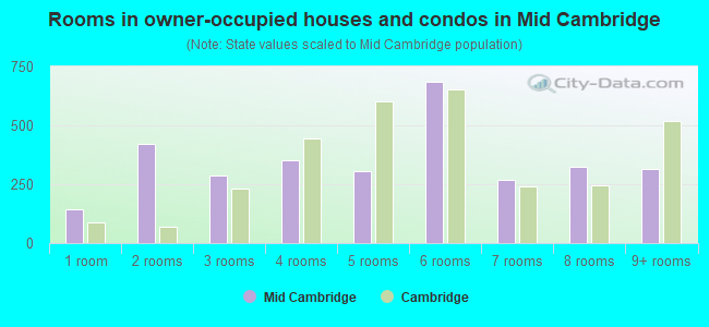 Rooms in owner-occupied houses and condos in Mid Cambridge