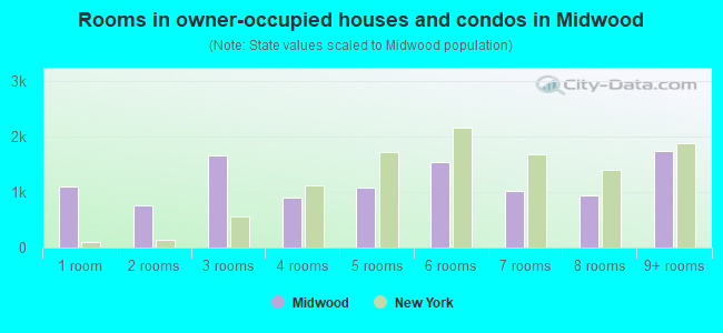 Rooms in owner-occupied houses and condos in Midwood
