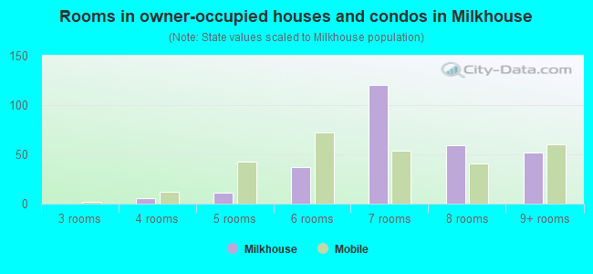 Rooms in owner-occupied houses and condos in Milkhouse