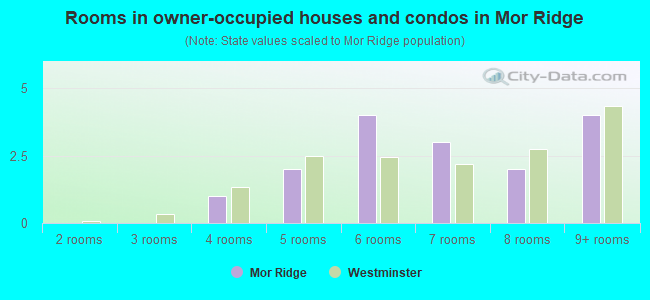 Rooms in owner-occupied houses and condos in Mor Ridge