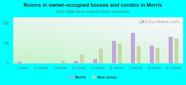 Rooms in owner-occupied houses and condos in Morris