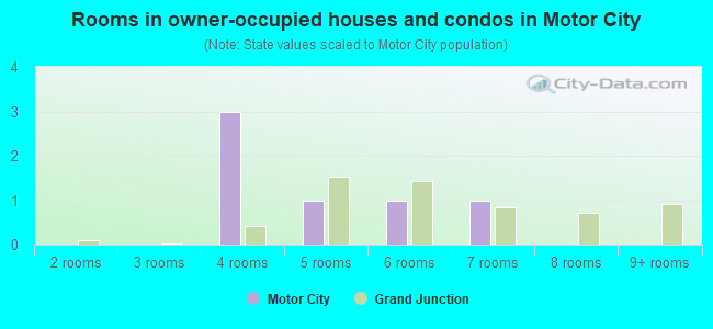 Rooms in owner-occupied houses and condos in Motor City