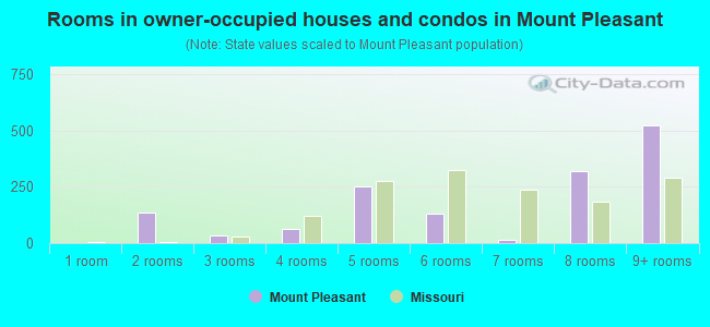 Rooms in owner-occupied houses and condos in Mount Pleasant
